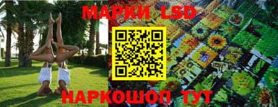 молекула духа Заволжье