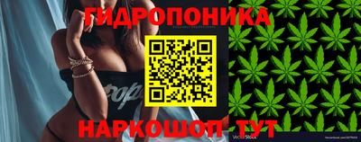 соль ск Заводоуковск