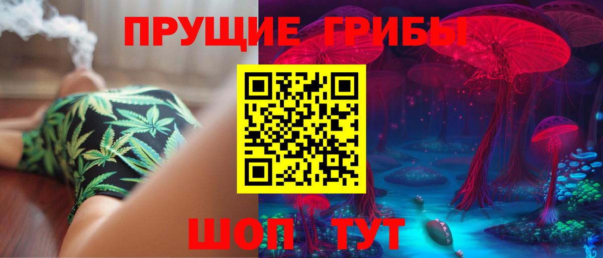 как найти закладки  Галлюциногенные грибы мицелий  Вход с VPN  Псилоцибиновые грибы мицелий  Миллерово 